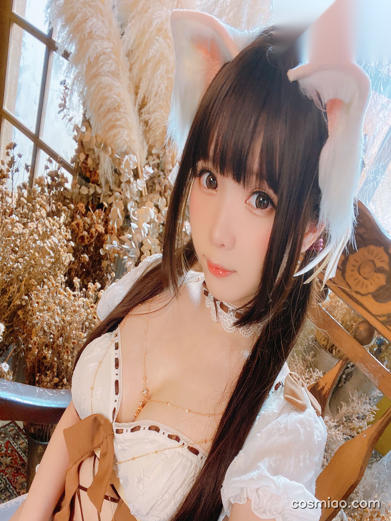 霜月shimo – 全套177期含随包视频[44.7G-2026.8][网盘持续自动更新]